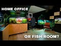 The new mj aquascaping studio home office fish room tour