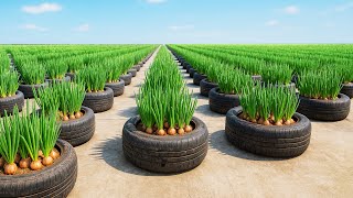 Truco sencillo con neumáticos para cultivar cebollas verdes frescas