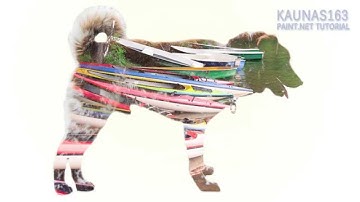 Paint.NET tutorial number 183 - Double exposure style photo effect