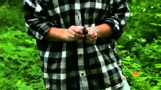Full Squealing Hen Wild Turkey Call Demo - Hunters Specialties Squealing Hen Mouth Squealing Call Update
