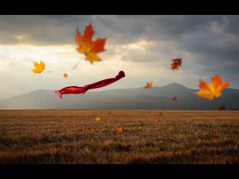 А Вітер Знає Зворушлива Романтична Пісня