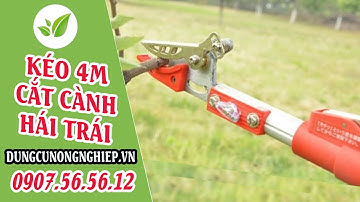 Kéo hái trái cắt tỉa cành trên cao 4m hiệu quả kẹp kim loại | Dungcunongnghiep.vn