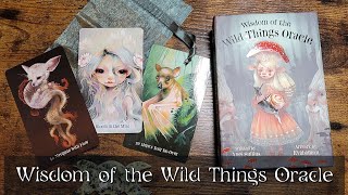 Wisdom of the Wild Things Oracle
