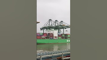 Cargo operations at JNPT port Mumbai #merchantnavy #ship #marineservices #beingmariner #container