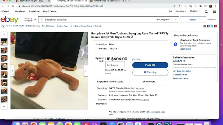 How to find accurately valued 1st gen beanie babies on ebay
