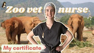 How to become a zoo vet nurse // wild animal veterinary nursing CPD