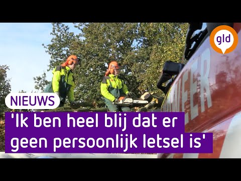 Video: Borden Van 3 Graden (18 Foto's): Kenmerken Van Gekantelde En Niet-gerande Planken, GOST, Mogelijke Defecten, Reikwijdte