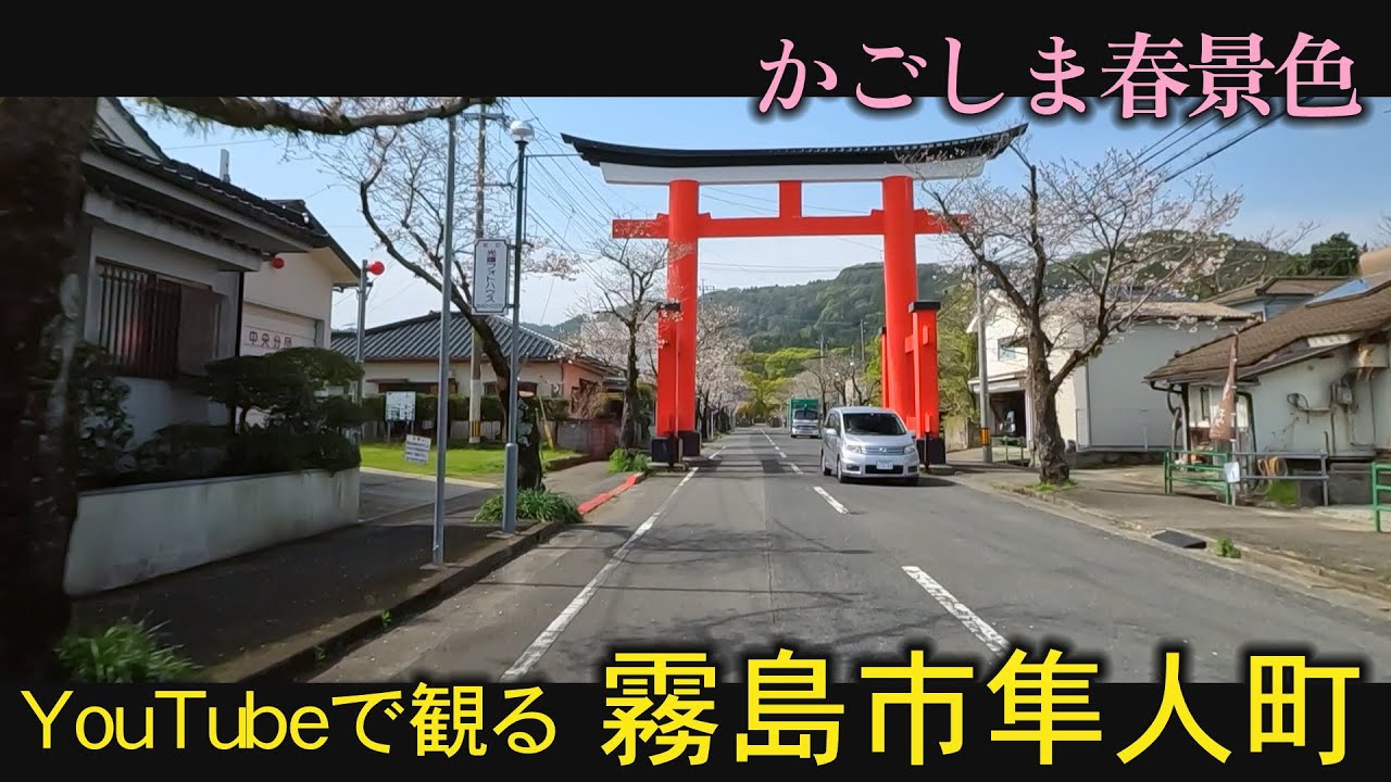 鹿児島神宮　桜並木　隼人駅　隼人工業高校　石體神社　蛭児神社　霧島市　隼人町　GoProで撮影　おまかせテレビ2023年3月27日
