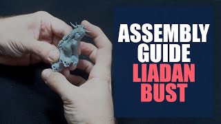 Embly Guide Liadan Bust