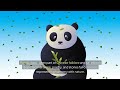 Pandas Gentle Giants Of The Bamboo Forest History Conservation And Legacy Part 1 Episode 11 