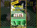 卵の殻は捨てないで！畑で有効活用【有機農家直伝！無農薬で育てる家庭菜園】　23/12/28　#shorts