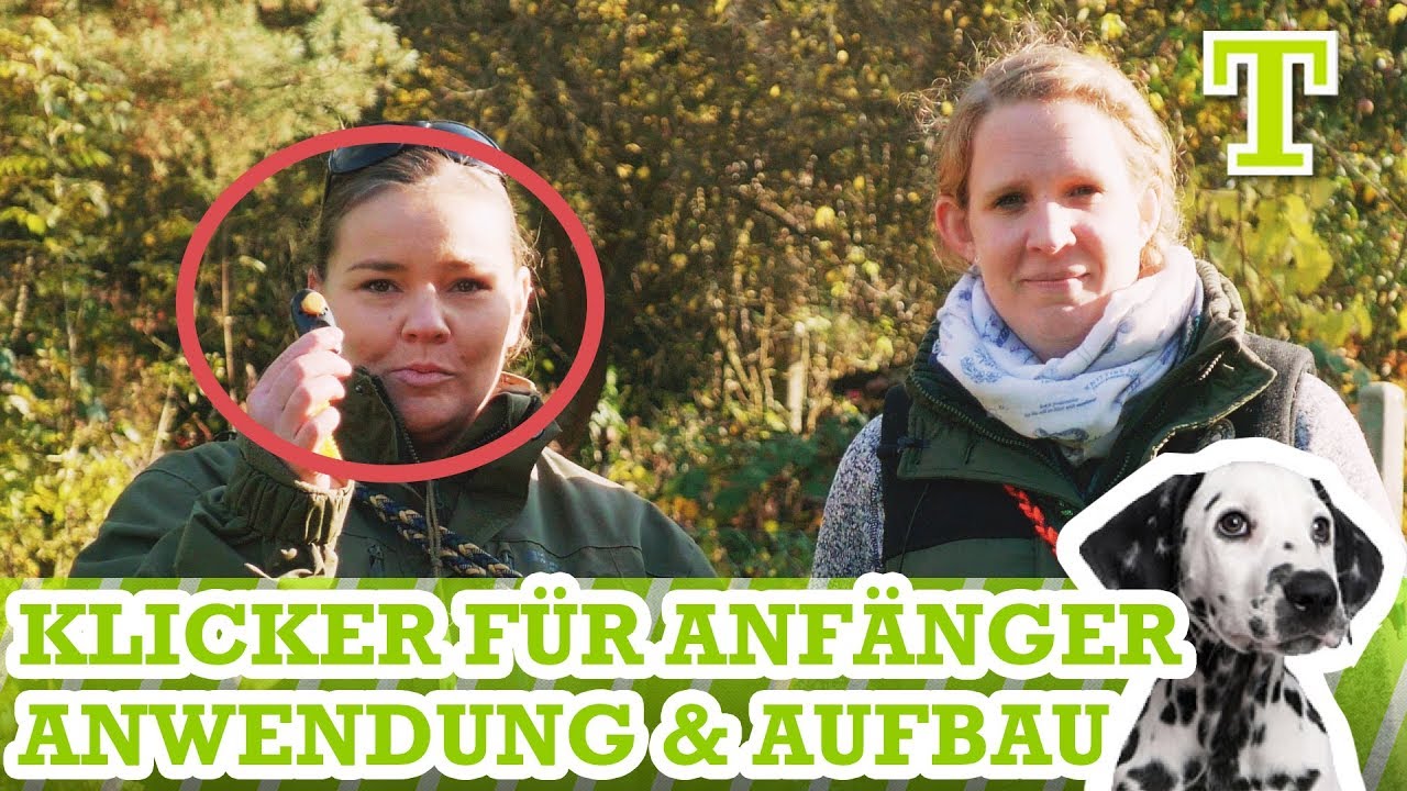 Klicker Hundetraining für Anfänger - Wofür kann man ihn gebrauchen? Anwendung & Aufbau