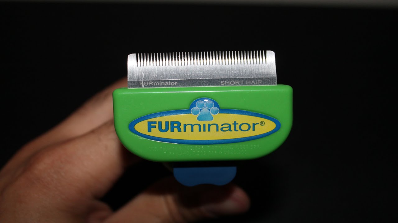 FURminator Short Hair deShedding Tool for Small Dogs