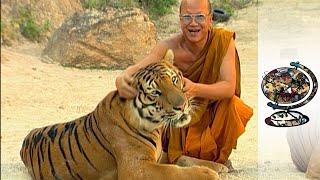 Taming Tigers Through Buddhism (2004)