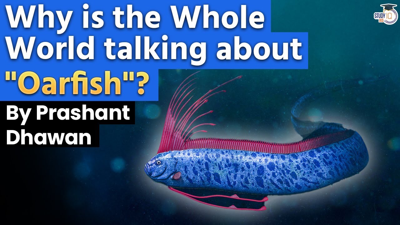 The Whole World is talking about Oarfish? | Why is this called the DoomsDay Fish?