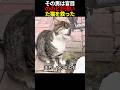 その男は、盲目ののどが渇いた猫を救った