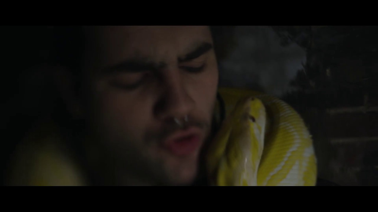 Watch Degrader - Fang (Official Music Video) on YouTube Watch Degrader - Fang (Official Music Video) on YouTube