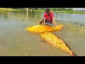 Really Amazing Hand Fishing Video - Traditional Boy Catching Fish By Hand In River Bank.