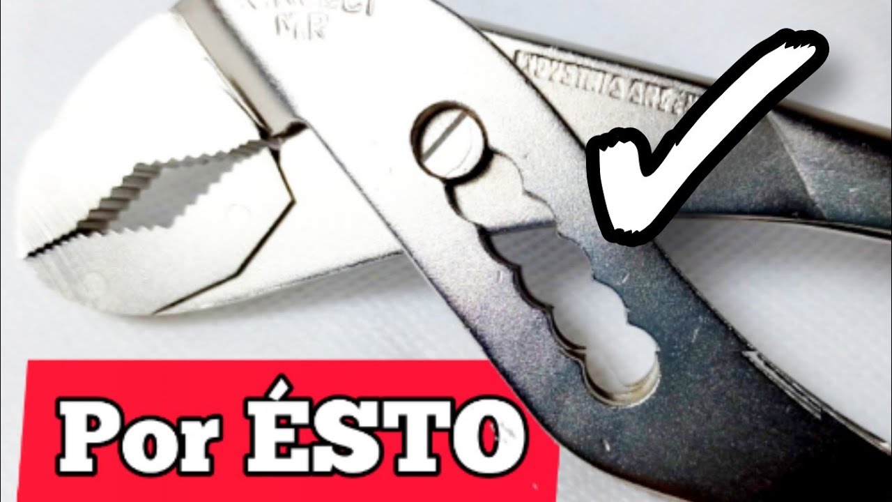 todas las FUNCIONES de la PICO de LORO