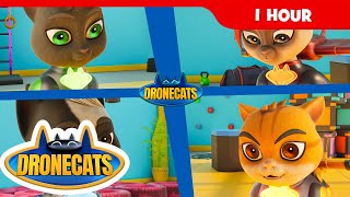 Drone Cats 🐾| Mischief Sitters Mayhem! | 1 Hour of Funny Cat Cartoons & Teamwork Adventures for Kids
