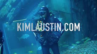Recreational Tank Dive (TRAILER) | Dubai Mall Aquarium | Shark Experience 🦈