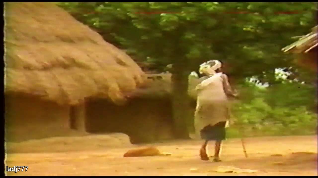 Koroya _ HAMED FARRAS