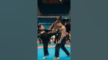 This move is so amazing it’s spreading all over the internet #kungfu #master #wushufight #taichi