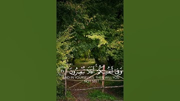 {وفي الأرض آيات للموقنين} [الذاريات : 20]