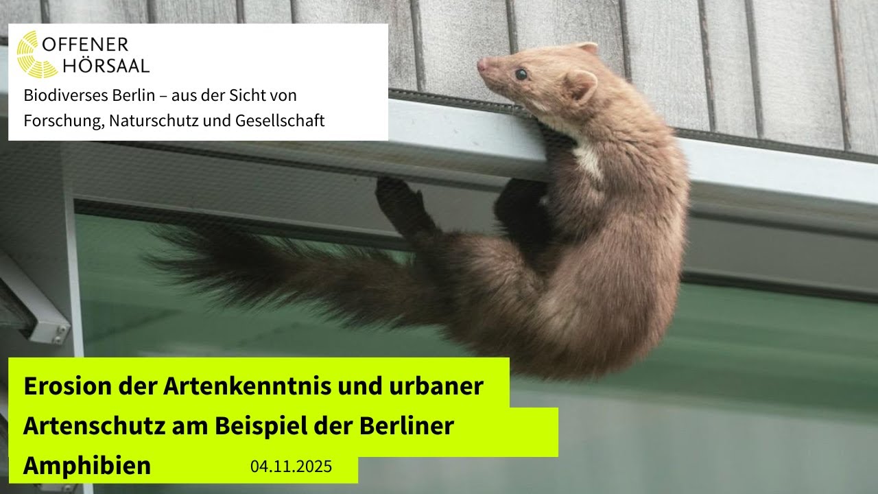 Erosion der Artenkenntnis und urbaner Artenschutz am Beispiel der Berliner Amphibien (04.11.2025)