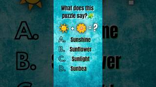 What Does This Puzzle Say Puzzle Challenge Game