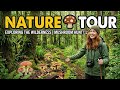 A Quiet Morning in the Forest | Nature ASMR & Cinematic Vlog