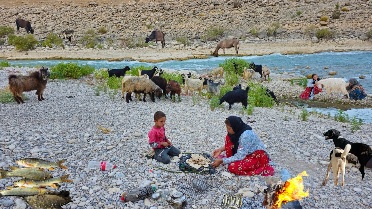 Кочевая жизнь | Кочевая рыбалка и выпас скота 🐑 | Выживание в Загросе ⛰️