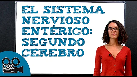 ¿Cuál es la función del sistema nervioso entérico?