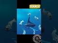 Esse peixe é o mais RAPIDO do oceano! #curiosidades #shorts #viral