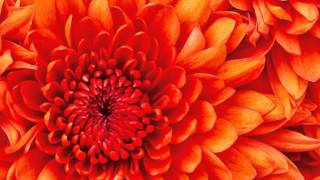 Download Lagu My Edited abcdef MP3