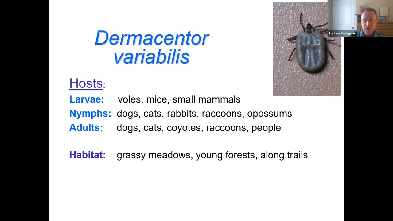 TFN March 2025 Lecture: Ticks in Ontario