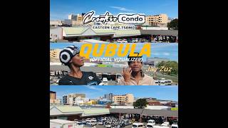 Qubula feat Jay Zuz ( Vizualizer)