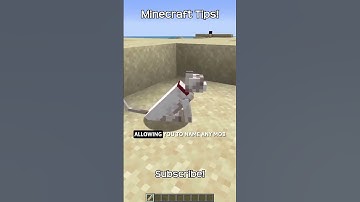 How To Rename A Name Tag In Minecraft?!