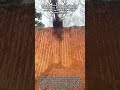 Implementing Site Stabilization Techniques Through Excavator Patterning On Vertical Clay Embankments