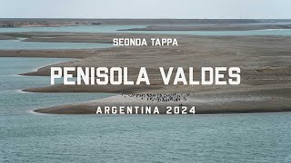 Penisola Valdes - Argentina 2024