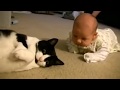 Funny cat with babe2