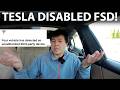 Tesla emailed me about FSD jailbreak in my account