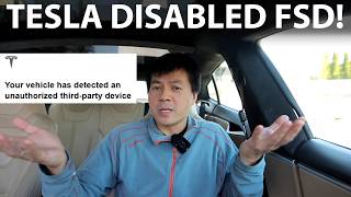 Tesla Emailed Me About Fsd Jailbreak In My Account