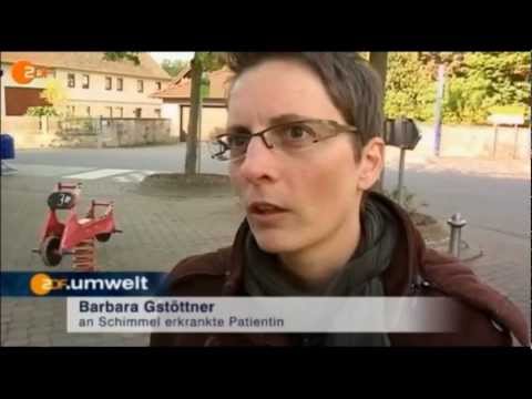 schimmelpilze-zerstören-menschen.-von-leistungssportlerin-zu-frührentnerin.