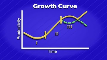 Organisational Maturity