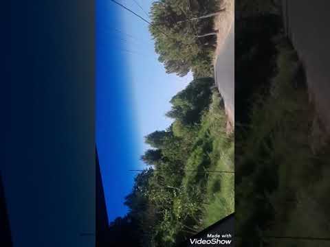 يا صحابي يا رفيق العمر