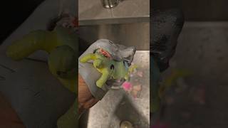 Hungry Hand Grows A Toto Turtle