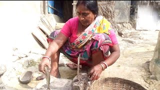 Amazing Girl Fish Cutting Live Fish Cutting Skills By Girl Fish Cutting By Ladypart-11