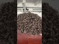 Undetectable Hairline | Real Human Hair