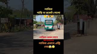 bus lover